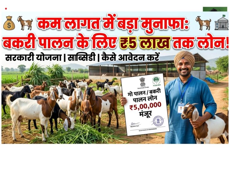 कम लागत में बड़ा मुनाफा: बकरी पालन के लिए सरकार दे रही ₹5 लाख तक लोन