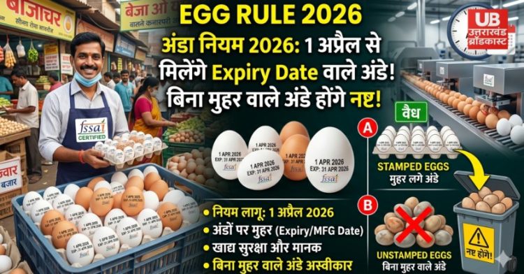 Egg Rule 2026 UP