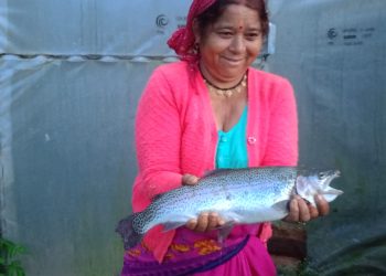 ऊखीमठ में स्वरोजगार की मिसाल: बलवीर सिंह राणा ने शुरू किया मत्स्य पालन, युवाओं को मिला रोजगार