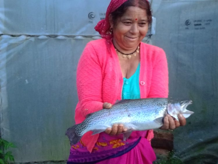 ऊखीमठ में स्वरोजगार की मिसाल: बलवीर सिंह राणा ने शुरू किया मत्स्य पालन, युवाओं को मिला रोजगार