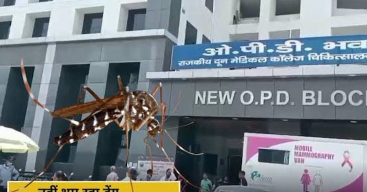 अभी से डेंगू का खतरा! देहरादून में बढ़े केस, अस्पतालों को हाई अलर्ट