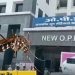 अभी से डेंगू का खतरा! देहरादून में बढ़े केस, अस्पतालों को हाई अलर्ट