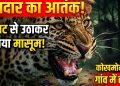 गुलदार का आतंक: चौखट से उठाकर ले गया मासूम, गांव में हड़कंप
