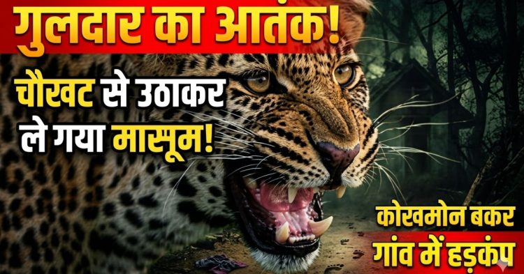 गुलदार का आतंक: चौखट से उठाकर ले गया मासूम, गांव में हड़कंप