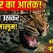 गुलदार का आतंक: चौखट से उठाकर ले गया मासूम, गांव में हड़कंप