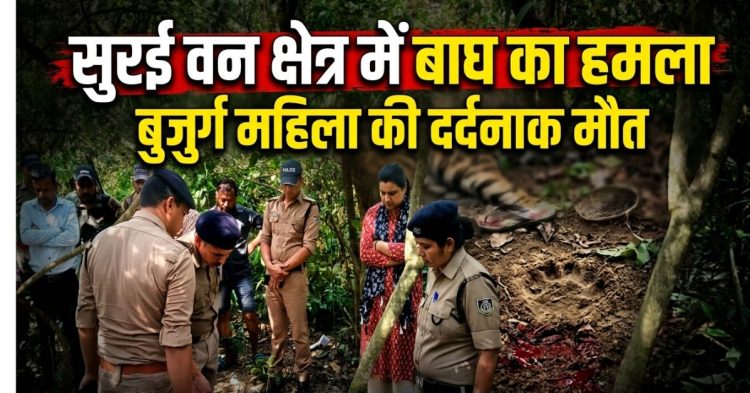 Khatima Tiger News: सुरई वन क्षेत्र में बाघ का हमला, बुजुर्ग महिला की दर्दनाक मौत