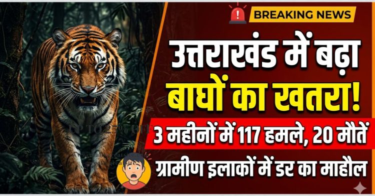 उत्तराखंड में बढ़ा बाघों का खतरा: 3 महीनों में 117 हमले, 20 मौतें—ग्रामीण इलाकों में डर का माहौल