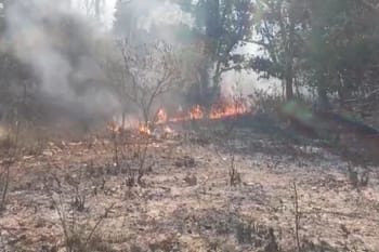 गढ़वाल में आग का कहर! 96 हेक्टेयर जंगल स्वाहा, हवा भी हुई जहरीली