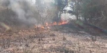 गढ़वाल में आग का कहर! 96 हेक्टेयर जंगल स्वाहा, हवा भी हुई जहरीली