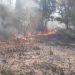 गढ़वाल में आग का कहर! 96 हेक्टेयर जंगल स्वाहा, हवा भी हुई जहरीली