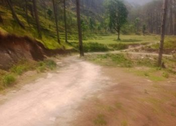 58 करोड़ मंजूर, फिर भी 13 साल से सड़क नहीं! गर्भवती महिलाओं को कुर्सी पर ढो रहे ग्रामीण