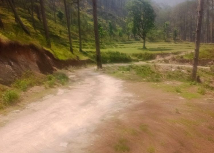 58 करोड़ मंजूर, फिर भी 13 साल से सड़क नहीं! गर्भवती महिलाओं को कुर्सी पर ढो रहे ग्रामीण