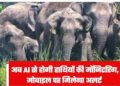 AI का जंगल में एक्शन मोड: हाथियों का झुंड दिखते ही बजा अलार्म, वन विभाग दौड़ा मौके पर