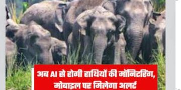 AI का जंगल में एक्शन मोड: हाथियों का झुंड दिखते ही बजा अलार्म, वन विभाग दौड़ा मौके पर