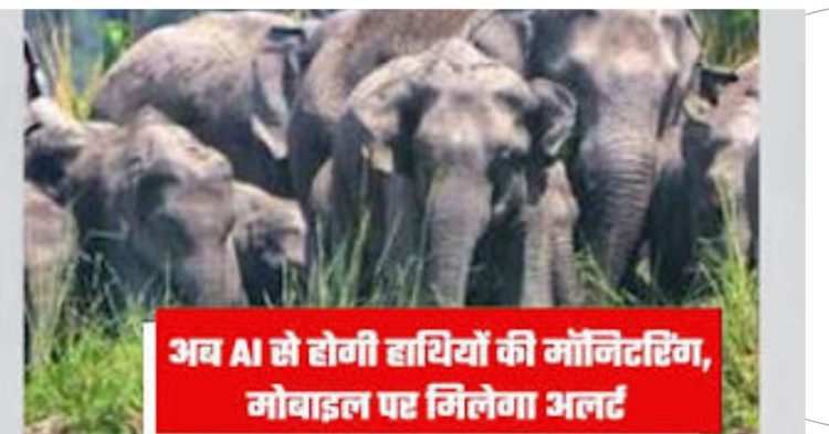 AI का जंगल में एक्शन मोड: हाथियों का झुंड दिखते ही बजा अलार्म, वन विभाग दौड़ा मौके पर