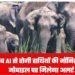 AI का जंगल में एक्शन मोड: हाथियों का झुंड दिखते ही बजा अलार्म, वन विभाग दौड़ा मौके पर