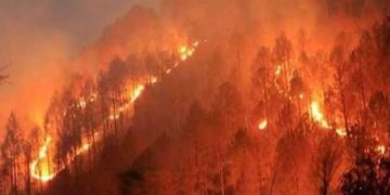 पौड़ी में धधकते रहे जंगल, 8 वनाग्नि घटनाओं से 2.50 हेक्टेयर वन क्षेत्र प्रभावित, दो पर FIR दर्ज