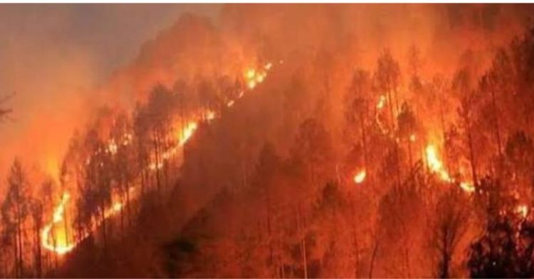 पौड़ी में धधकते रहे जंगल, 8 वनाग्नि घटनाओं से 2.50 हेक्टेयर वन क्षेत्र प्रभावित, दो पर FIR दर्ज
