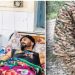 देहरादून में हैवानियत! सॉफ्टवेयर इंजीनियर को अगवा कर लूटा, पुल से नदी में फेंका