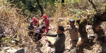दर्दनाक हादसा: गहरी खाई में गिरी कार, 3 की मौत, 3 घायल