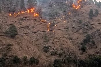 Uttarakhand News: जंगल की आग बुझाने गई महिला की दर्दनाक मौत