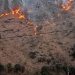 Uttarakhand News: जंगल की आग बुझाने गई महिला की दर्दनाक मौत