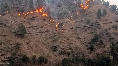 Uttarakhand News: जंगल की आग बुझाने गई महिला की दर्दनाक मौत