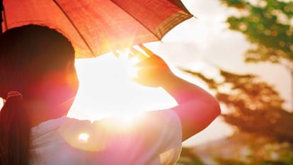 उत्तराखंड में गर्मी का रेड अलर्ट! 40°C के करीब पहुंचा पारा, कोर्ट में उतरे काले कोट