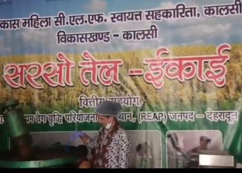 कालसी की महिलाओं का कमाल: 10 लाख की यूनिट से 25 लाख का कारोबार, ‘हिलान्स’ सरसों तेल की बाजार में धूम