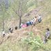 दर्दनाक हादसा: अनियंत्रित होकर वाहन गहरी खाई में गिरा, 4 की मौत, 4 घायल