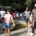 Dehradun Tourism:   गर्मी से बचने के लिए देहरादून में उमड़ रही भीड़, गुचुपानी बना पर्यटकों का नया हॉटस्पॉट