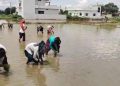 विलुप्ति की कगार से लौटी देहरादून की शान! फिर महकेगी दुनिया में मशहूर ‘दून बासमती