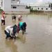 विलुप्ति की कगार से लौटी देहरादून की शान! फिर महकेगी दुनिया में मशहूर ‘दून बासमती