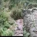 कागजों पर दौड़ी शिकायत, जमीन पर वही दर्द! बंगरझल्ला के ग्रामीण पूछ रहे—आखिर कब बदलेगी तस्वीर?