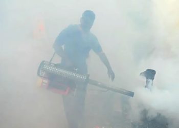 मच्छरों को भगाने वाला धुआं कहीं आपकी सांसों पर भारी तो नहीं? 2 मौतों के बाद मचा हड़कंप