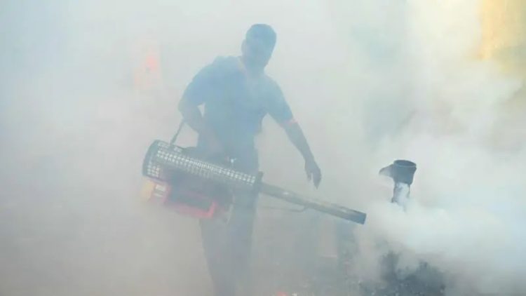 मच्छरों को भगाने वाला धुआं कहीं आपकी सांसों पर भारी तो नहीं? 2 मौतों के बाद मचा हड़कंप