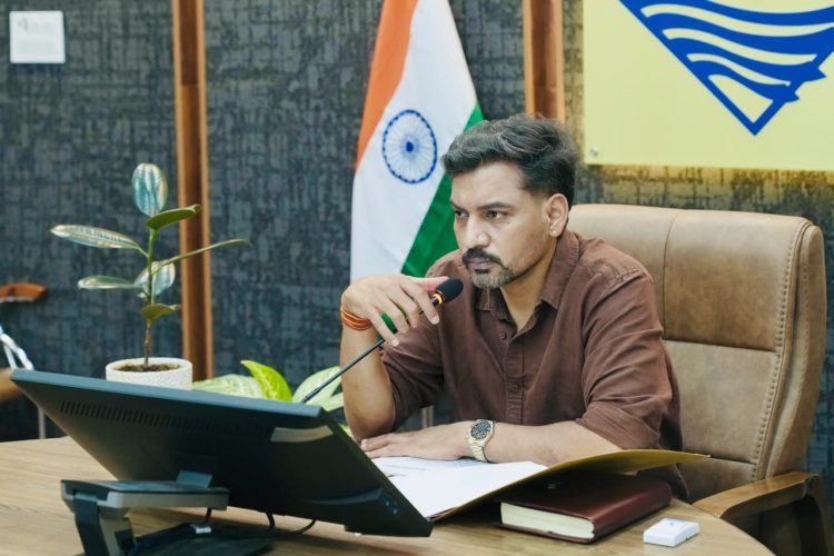 सड़कों पर आवारा पशु दिखे तो खैर नहीं! DM ने कसा शिकंजा, मालिकों पर भी होगी सख्त कार्रवाई