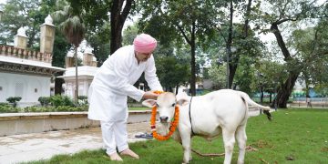 नन्हा कद, बड़ा कमाल! SGRRU पहुंची नैनो गाय, अब उत्तराखंड में होगा वैज्ञानिक अध्ययन