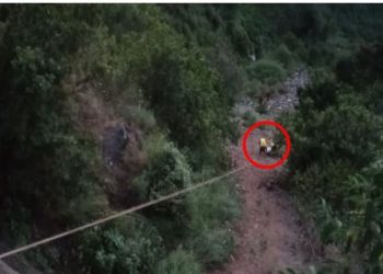 सड़क हादसा, 300 मीटर गहरी खाई में गिरी कार; एक की मौत, दो घायल