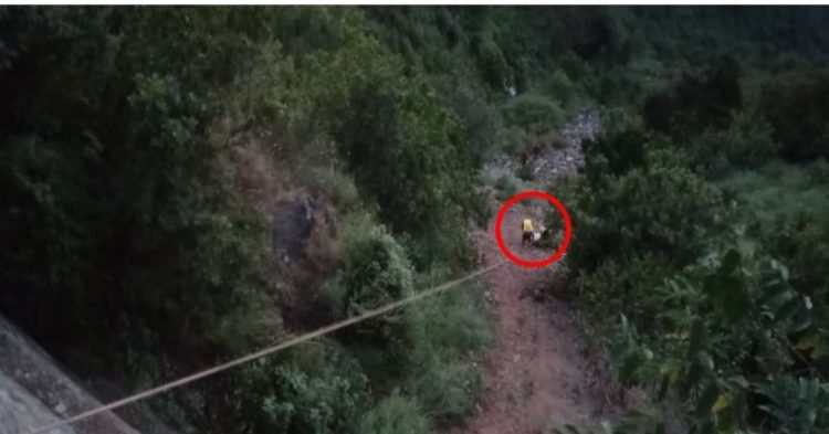 सड़क हादसा, 300 मीटर गहरी खाई में गिरी कार; एक की मौत, दो घायल